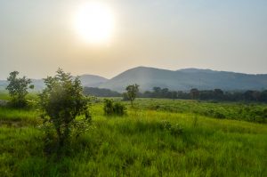 Voyage au Gabon – Prologue